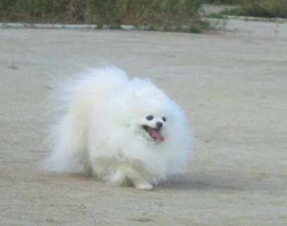 表情いろいろ~_b0177436_12533418.jpg