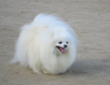 表情いろいろ~_b0177436_1352349.jpg