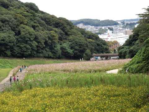 c0097838_15025762.jpg
