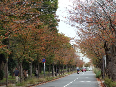 c0097838_15370074.jpg
