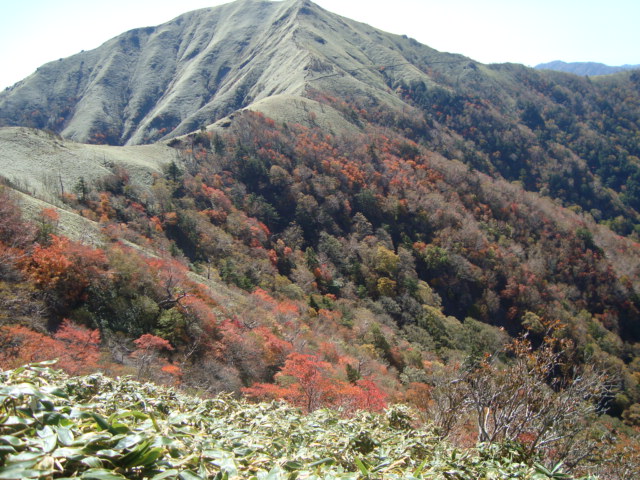 e0060041_9471477.jpg