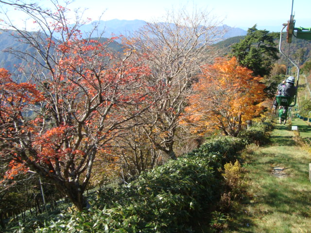 e0060041_9484134.jpg
