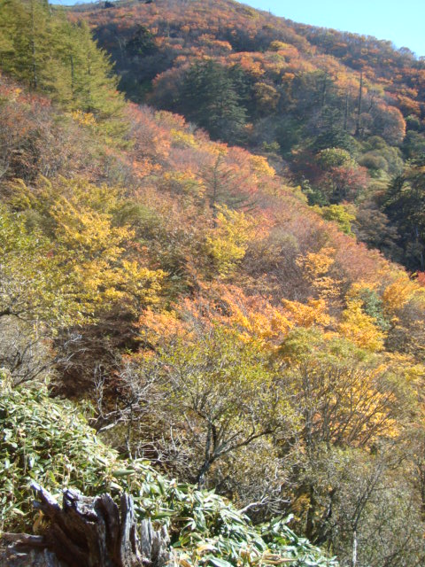 e0060041_948812.jpg