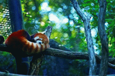 b0221643_23455167.gif