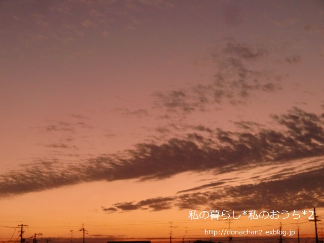 e0354456_9524532.jpg