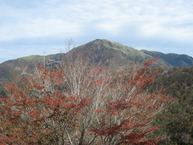 2015.10.15 新九郎山1635ｍ～不入山1653ｍ_c0219866_18384445.jpg