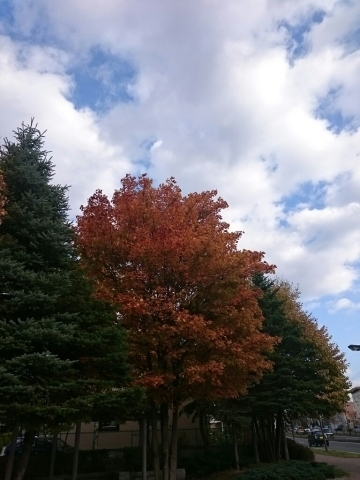 c0311170_15111444.jpg