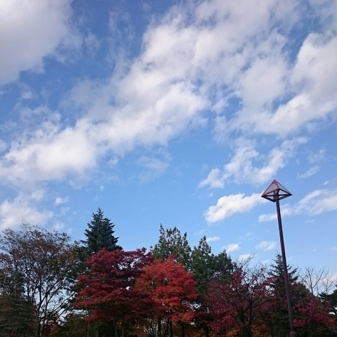 c0311170_15111824.jpg