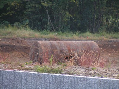 昭和記念公園の「地底の泉」水位低下中_c0112172_23443123.jpg