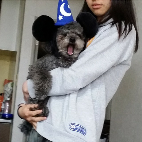 あくび_c0231772_13582599.png