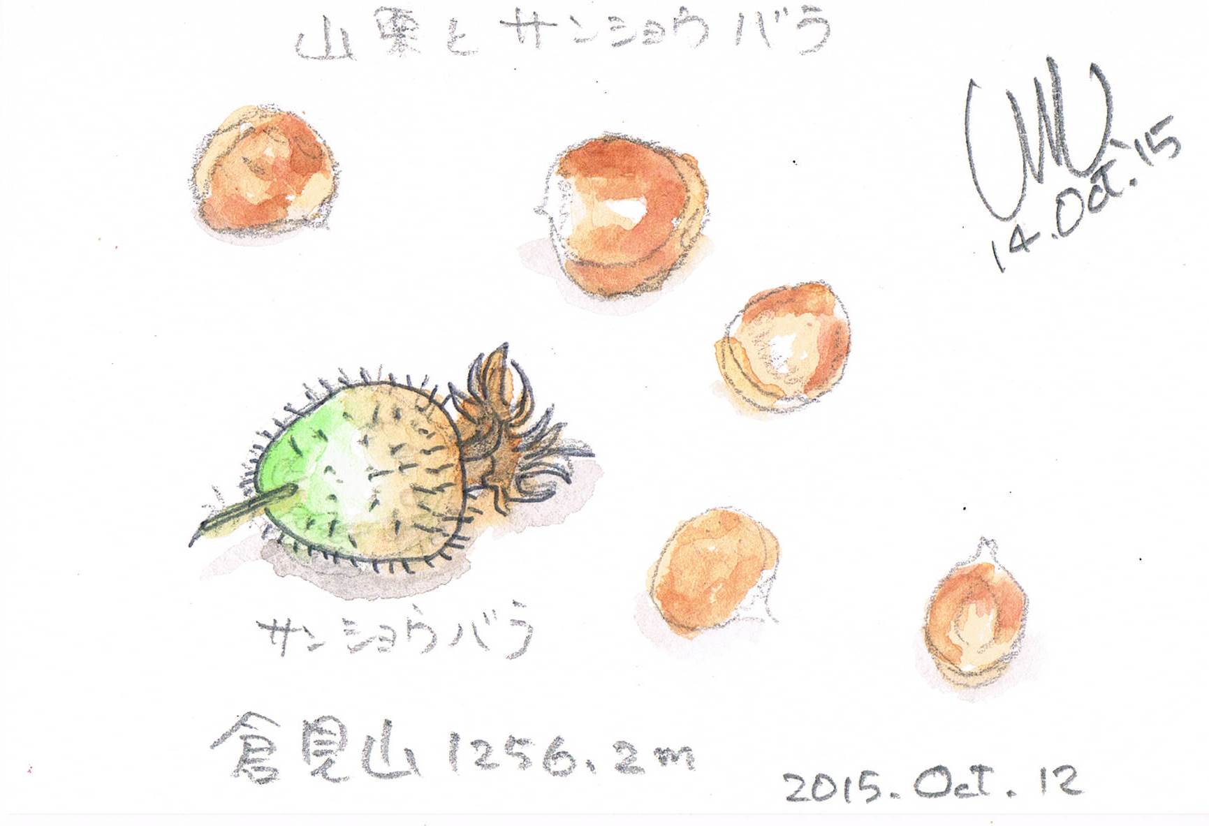 ヤマグリとサンショウバラ_e0232277_1142988.jpg