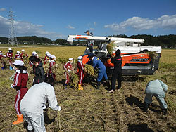 稲刈り体験(緑ヶ丘小・北郷小)_d0247484_18114249.jpg