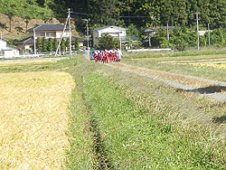 稲刈り体験(緑ヶ丘小・北郷小)_d0247484_18232136.jpg