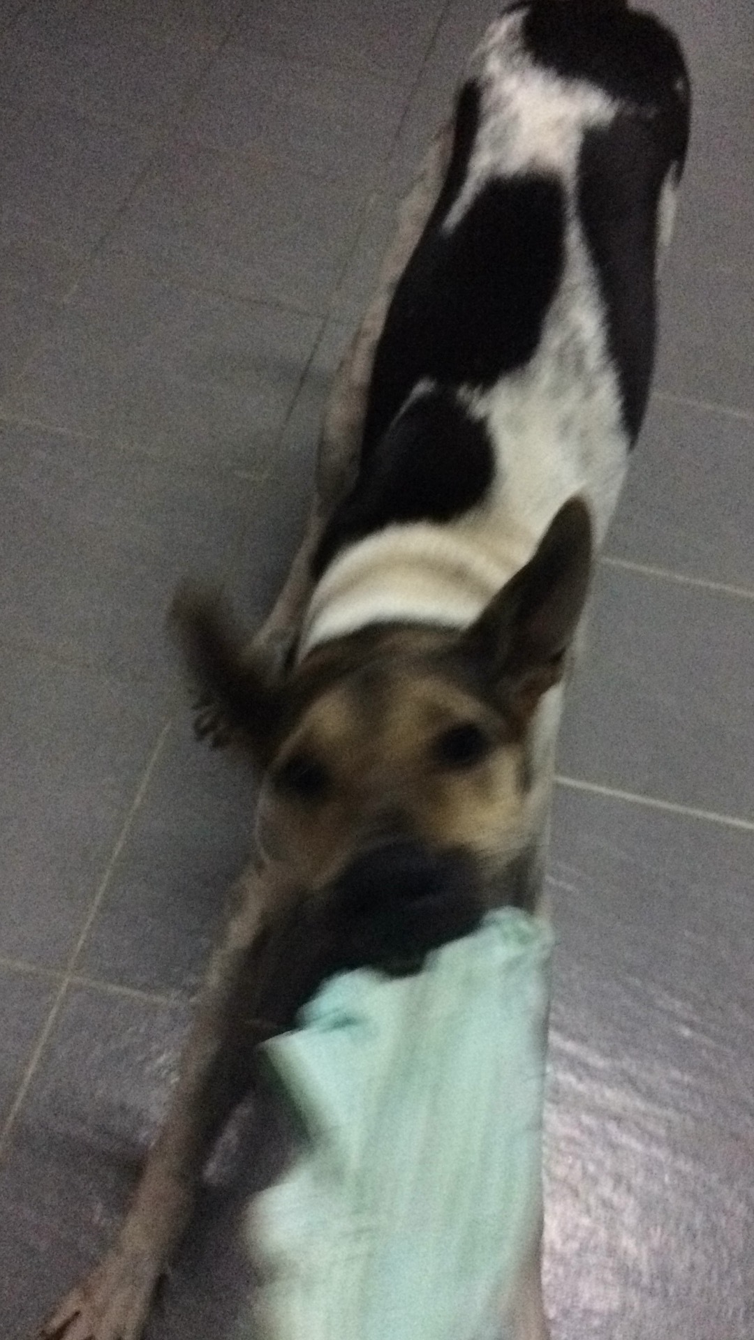 a0159690_14305197.jpeg