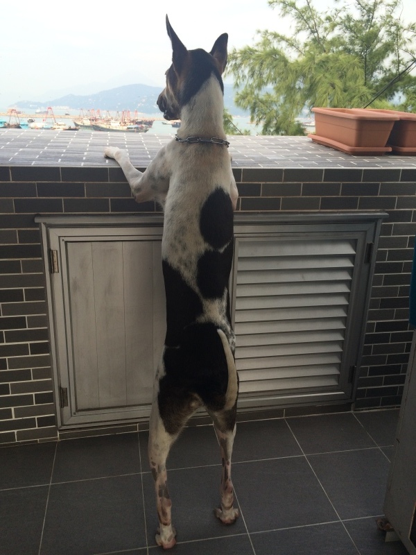 a0159690_14321890.jpeg