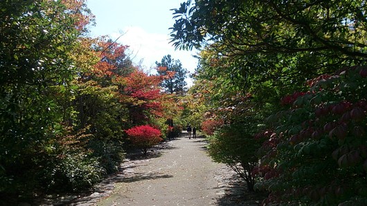 e0046190_13123434.jpg