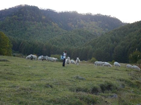 f0129390_19191390.jpg