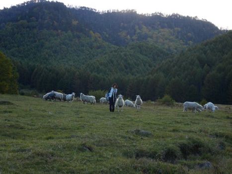 f0129390_1920182.jpg