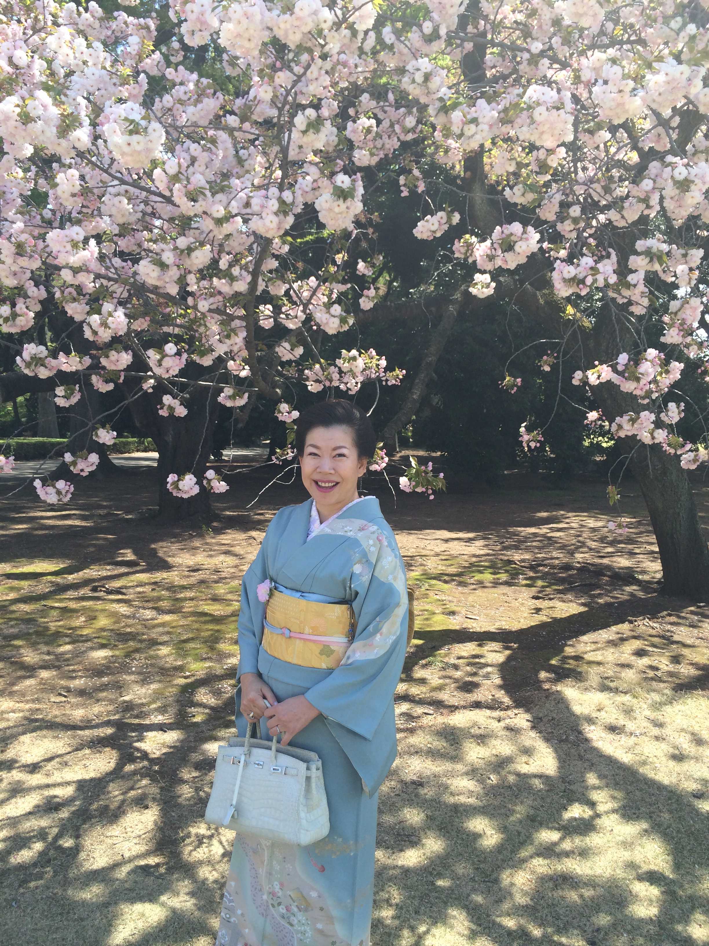 安倍総理主催の桜を見る会で着たきもの_d0339891_10474460.jpg