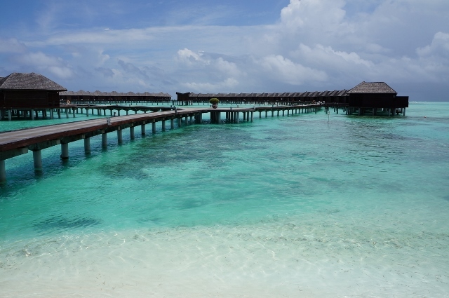 d0337598_13382895.jpg