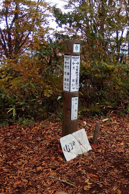 遠征2日目は斑尾山_e0137200_0505677.jpg