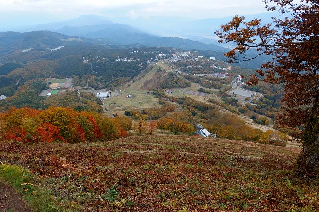 遠征2日目は斑尾山_e0137200_0545092.jpg