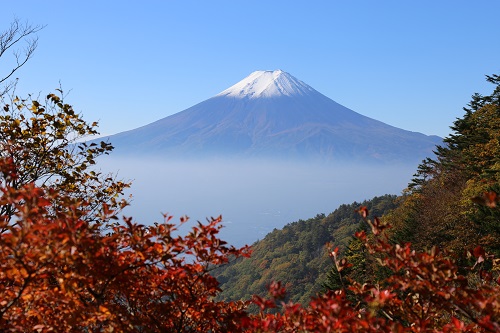 三ツ峠山から初冠雪の富士山（２０１５）_a0158702_16315836.jpg