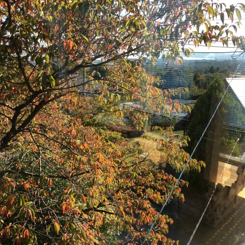 b0220002_20400413.jpeg
