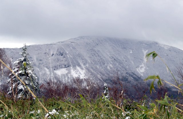 2015年10月15日(木)　無意根山（1464ｍ） 途中撤退_c0171816_11143781.jpg