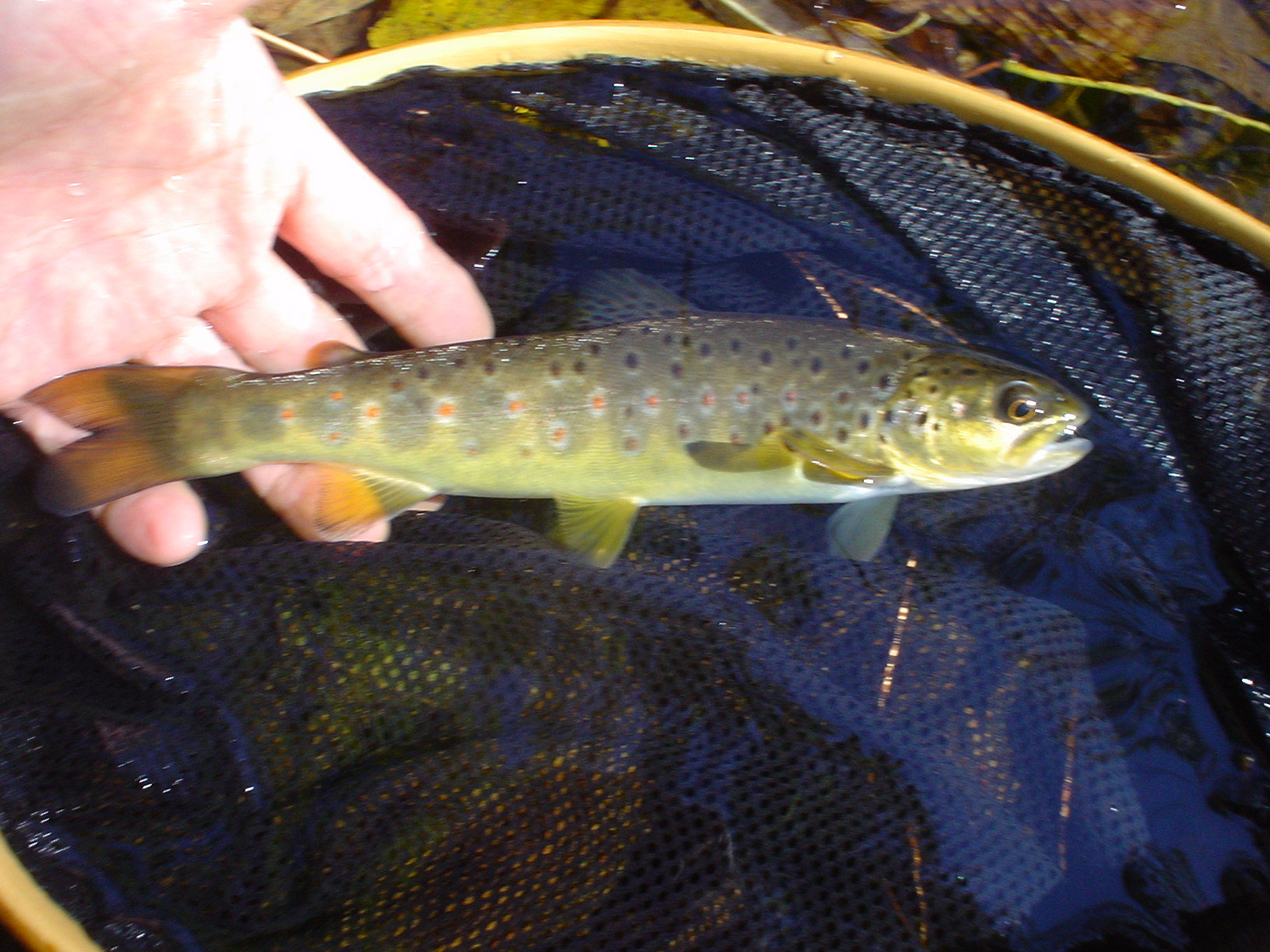 f0280717_1849399.jpg