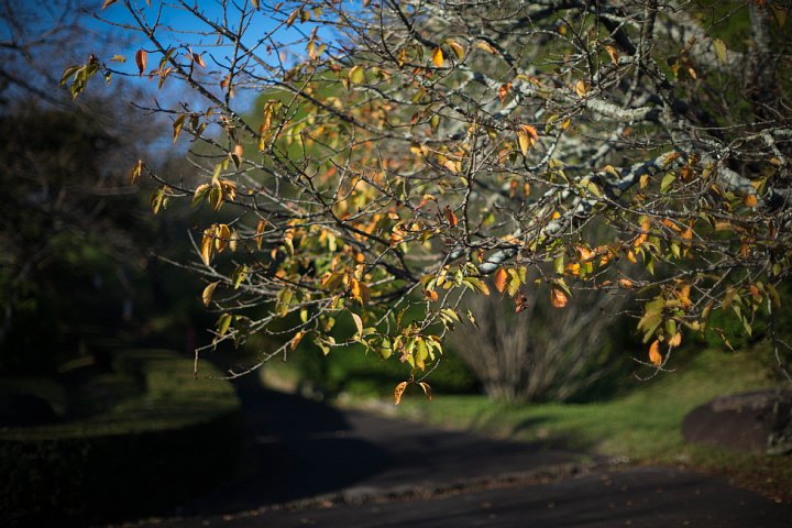 b0134829_18101417.jpg