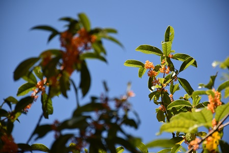 a0116430_16361765.jpg