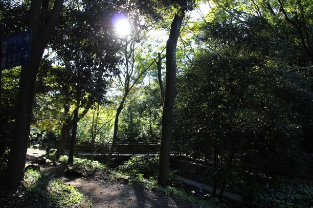 f0348831_07395530.jpg