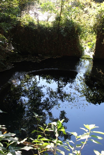 f0348831_07451613.jpg