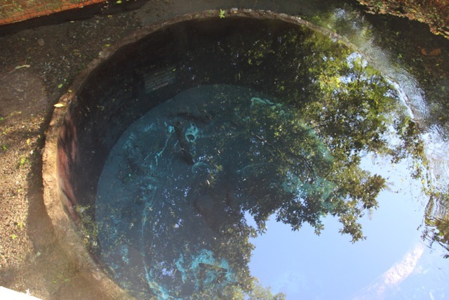 f0348831_07525301.jpg