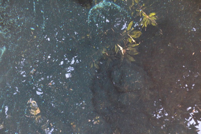 f0348831_07541256.jpg