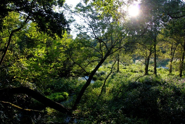 f0348831_08000631.jpg