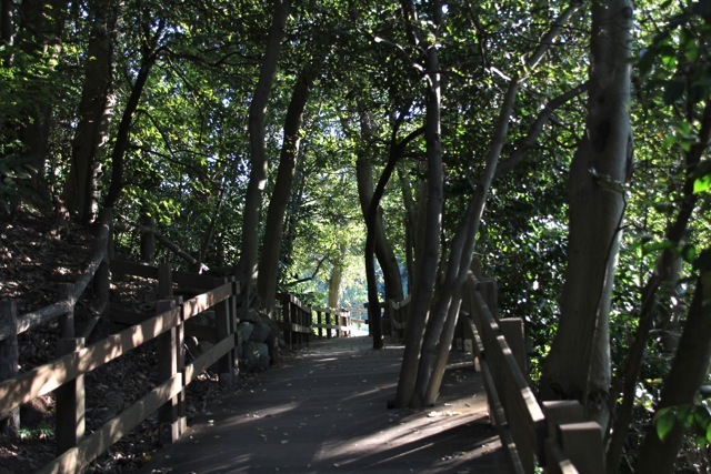 f0348831_08013579.jpg