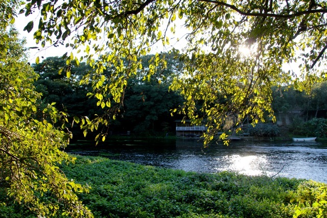 f0348831_08025967.jpg