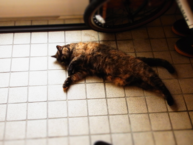 a0305046_09182013.jpg