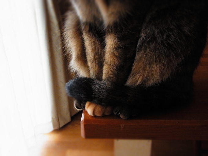 a0305046_09210737.jpg