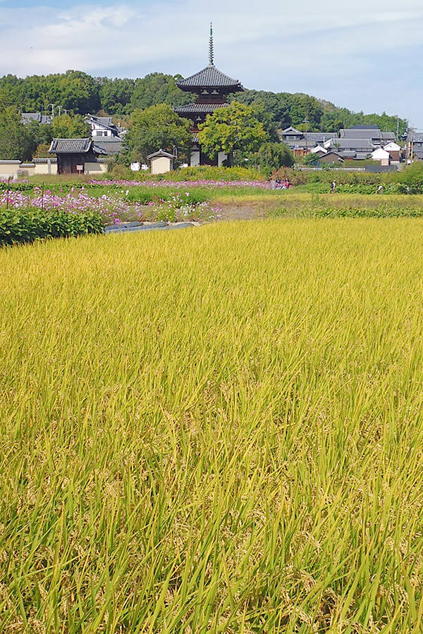 f0190950_140583.jpg