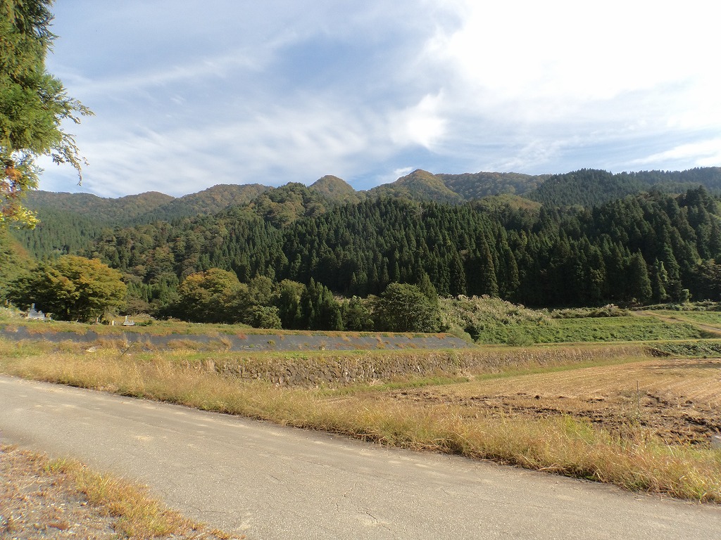 小黒見山（福井県大野市）の調査_b0234354_719189.jpg