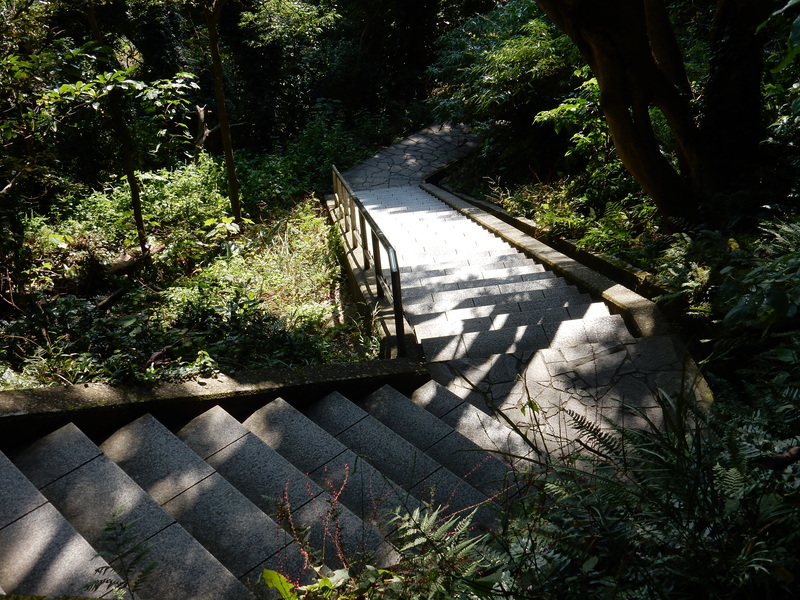 ’15,10,16(金)続・鋸山ハイキング!_f0060461_12522670.jpg