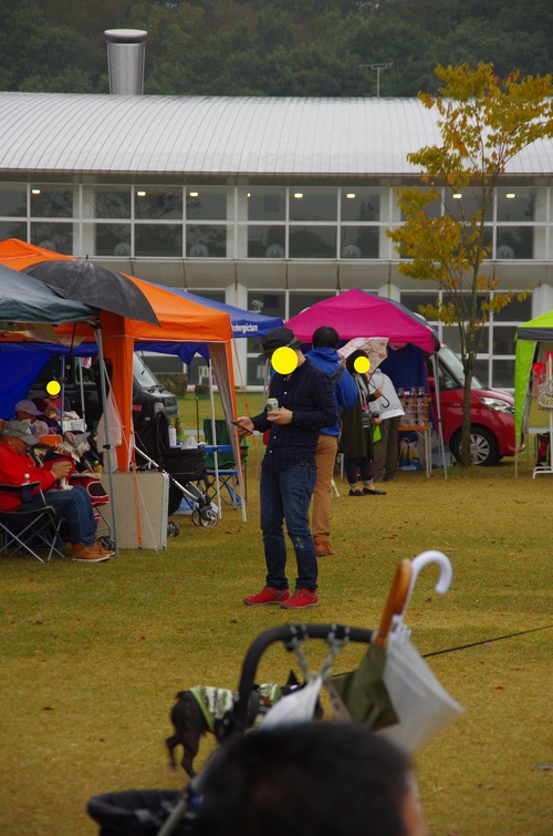 c0298565_63195.jpg