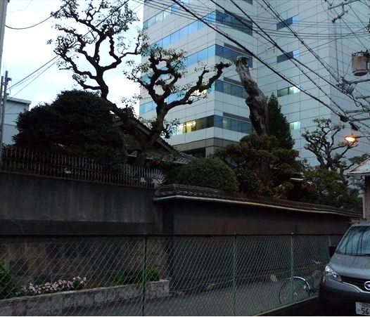 源光寺(大阪市北区豊崎)_f0139570_15432684.jpg