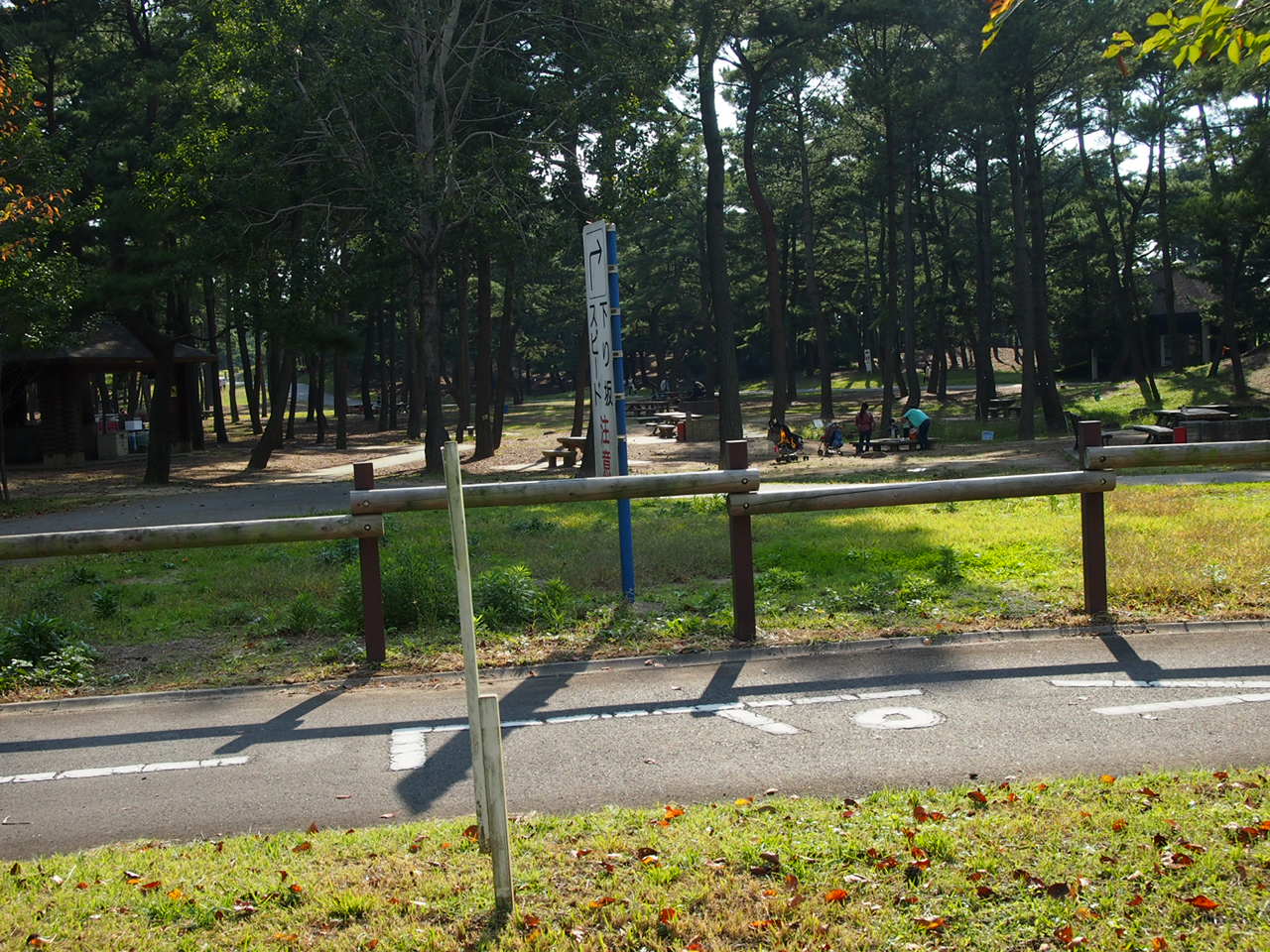 秋の晴れた日にひたち海浜公園にプチトリップ Part2 韓国ホリックかも 秋の晴れた日にひたち海浜公園にプチトリップ Part2 韓国ホリックかも