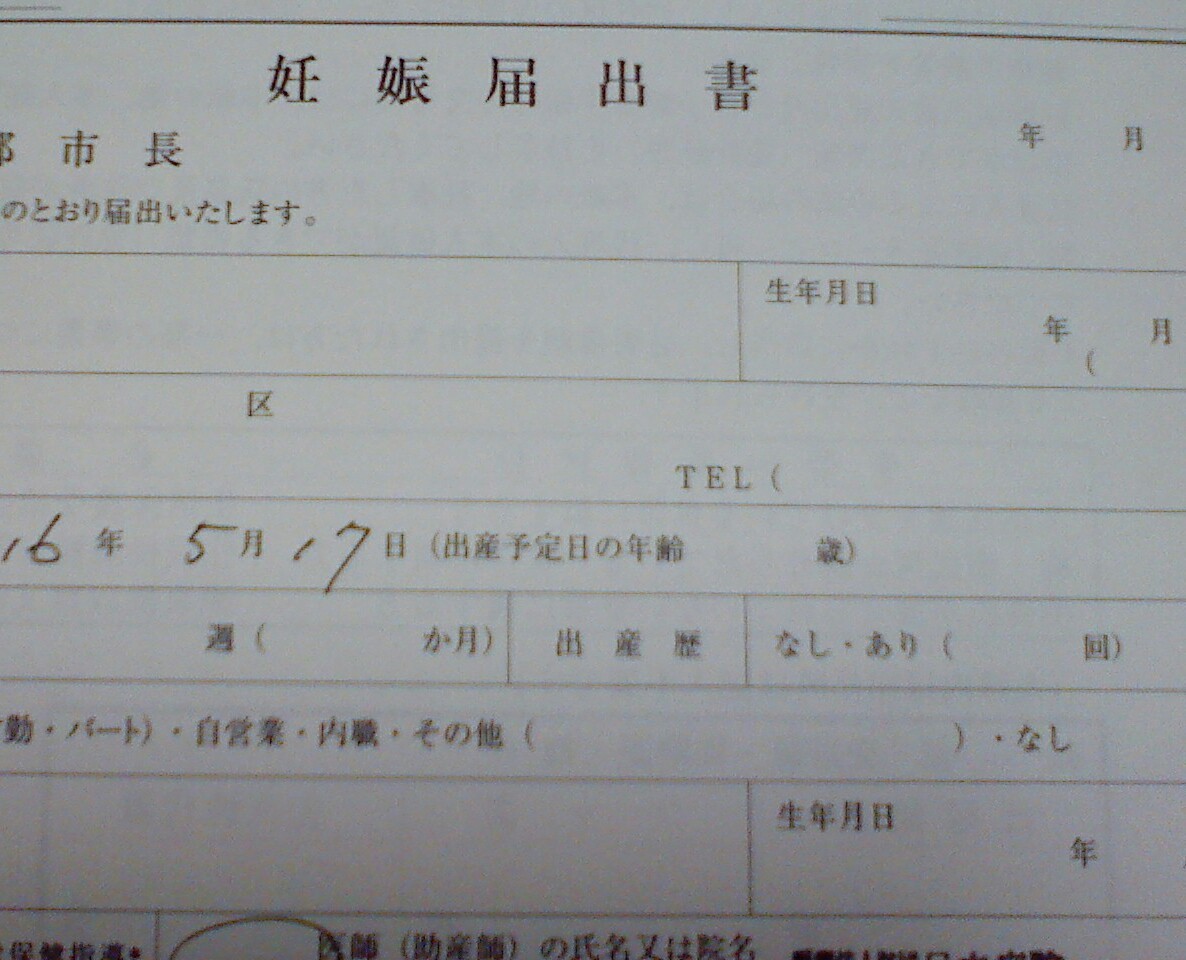 妊娠届出書 4人目のママになるまで 妊娠届出書 4人目のママになるまで