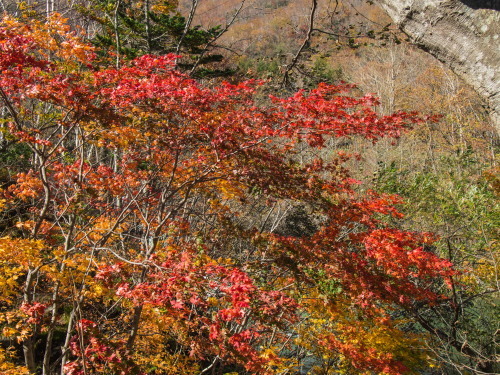 秋深まる「ヒョウタンの滝」から「札内川ダム」へ_f0276498_16393133.jpg