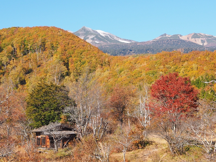 紅葉ツーリング 15 第1弾 乗鞍高原 野麦峠 開田高原 ー 後編 いわしののんびり遊泳 vol 2 紅葉ツーリング 15 第1弾 乗鞍高原 野麦峠 開田高原 ー 後編 いわしののんびり遊泳 vol 2
